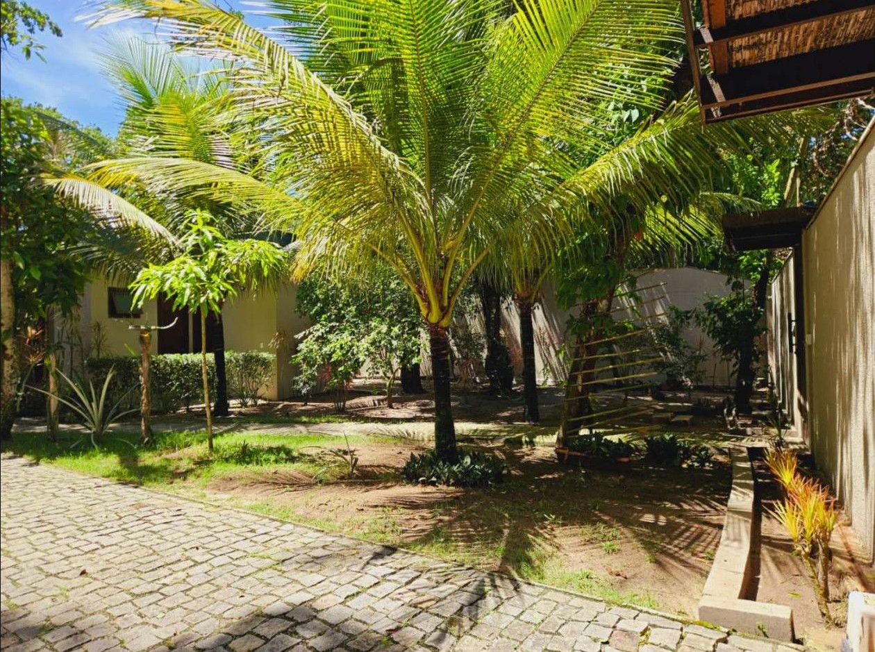 Imagem 11