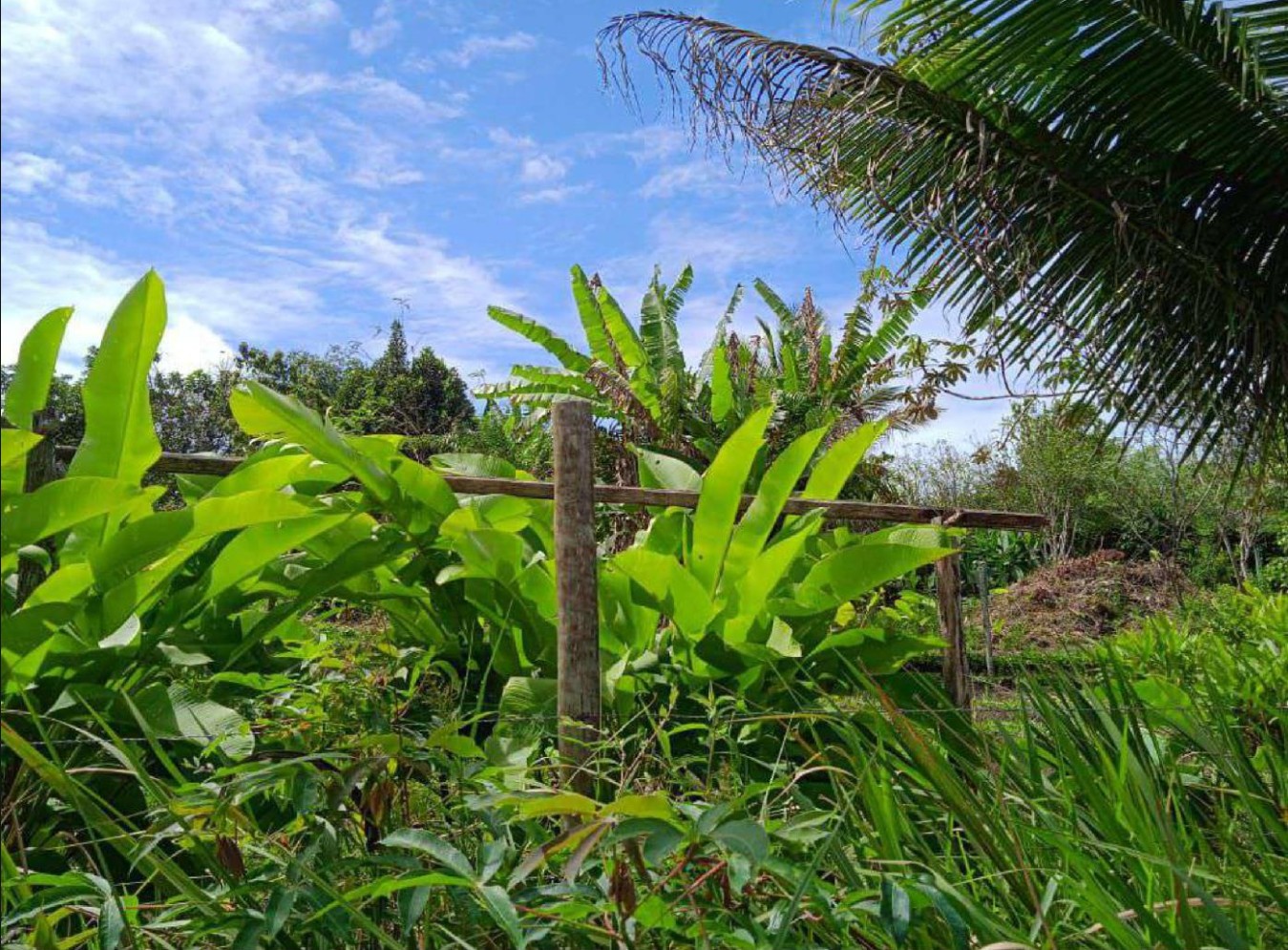 Área estratégica com 155.000 m² e projeto para posto no trevo de Trancoso para Caraíva