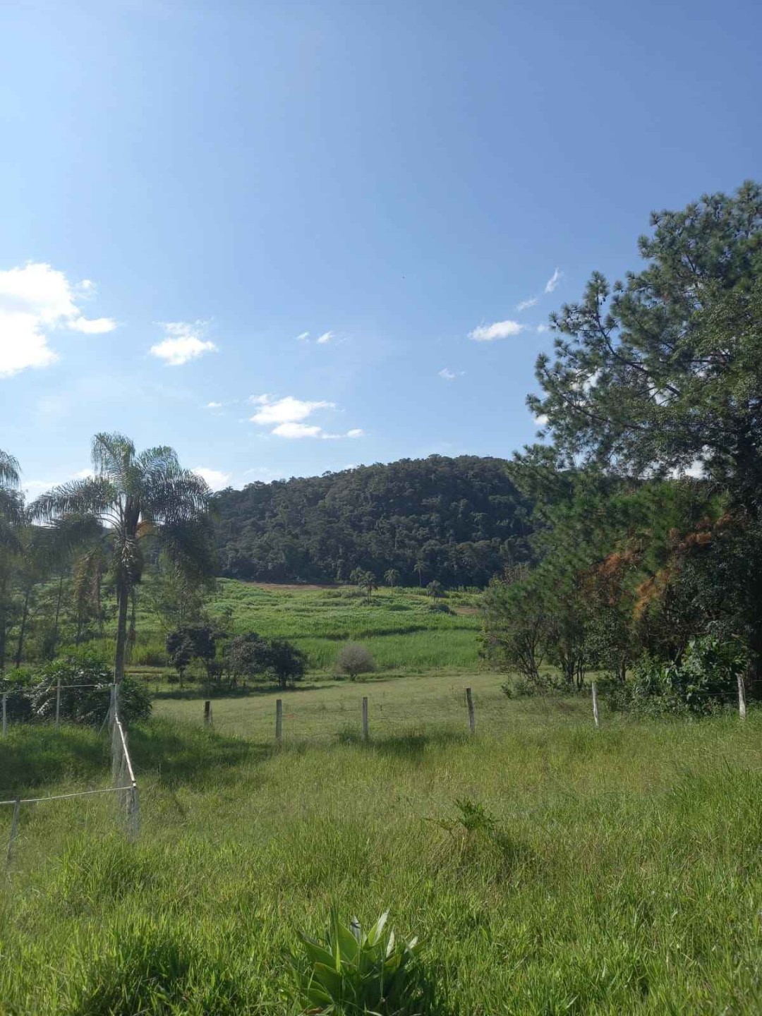 Imagem 4