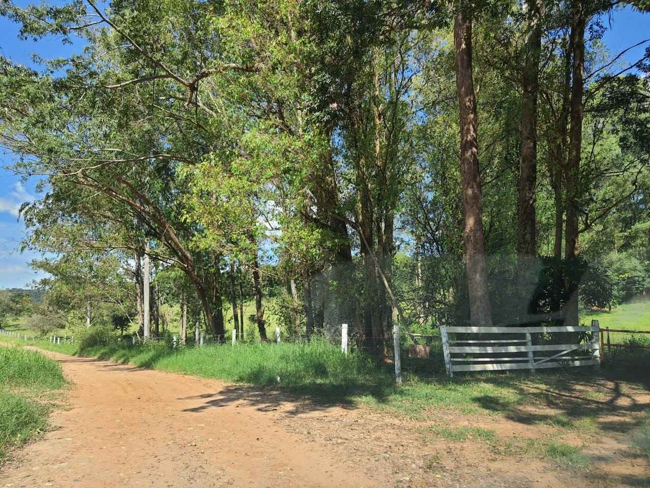 Sítio de 16 alqueires na região de São Carlos em São Carlos