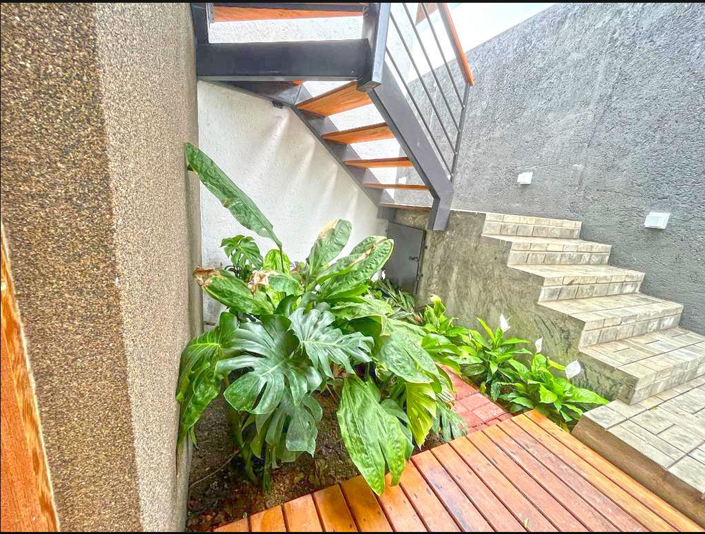 Imagem 11