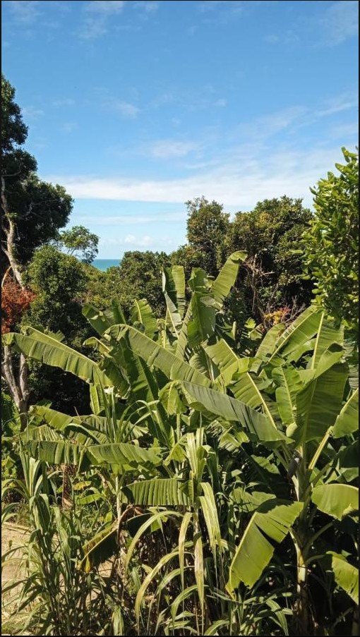Área para Venda, Porto Seguro / BA