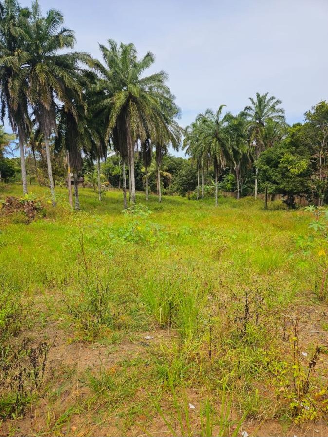 Terreno amplo com 6.000 m² em Trancoso, ideal para projeto de alto padrão ou investimento em Porto Seguro